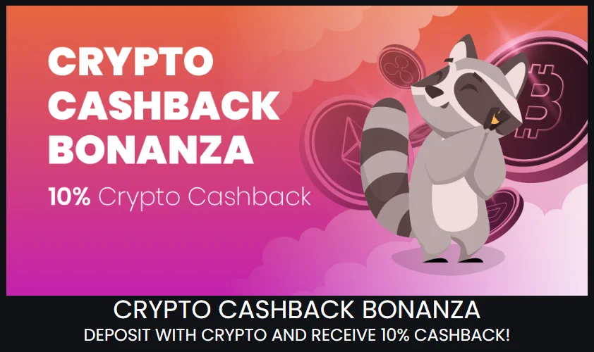 Stupid Casino Crypto Cashback Bonanza