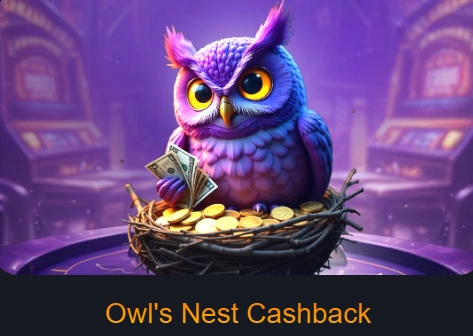 Lucky Owl Club Casino Cashback Programs